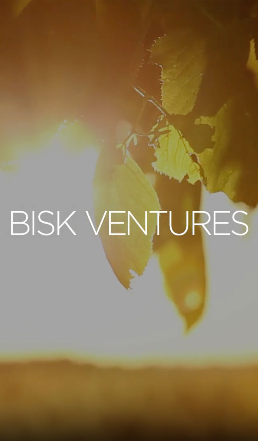 Bisk Ventures Video
